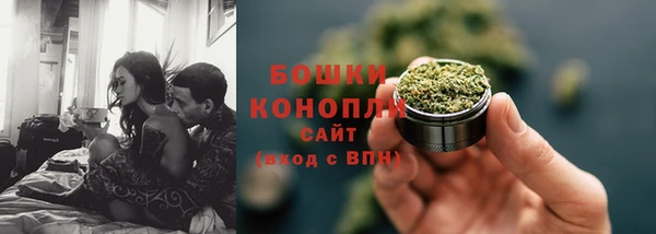 ПСИЛОЦИБИНОВЫЕ ГРИБЫ Бердск