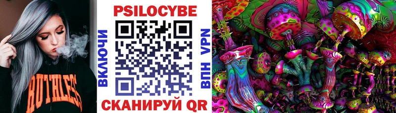 Купить закладки  Нововоронеж  Псилоцибиновые грибы GOLDEN TEACHER 