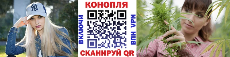 Купить закладки  Нововоронеж  Бошки марихуана THC 21% 